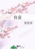 良妾十一娘番外